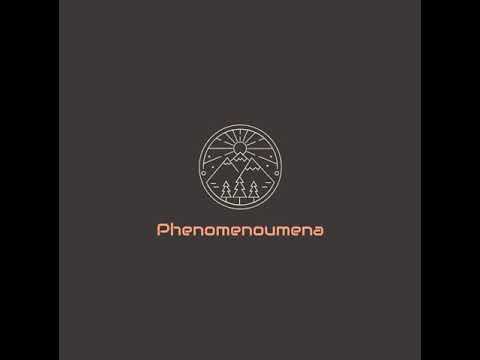 Phenomenoumena - Microgeny Recapitulates Cosmology
