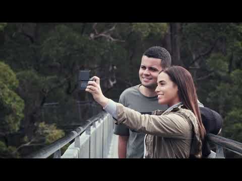 Valley of the Giants Tree Top Walk