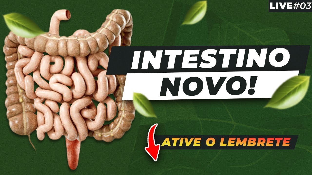 Vou REVELAR como REGULAR seu INTRESTINO RÁPIDO, FÁCIL e NATURAL!
