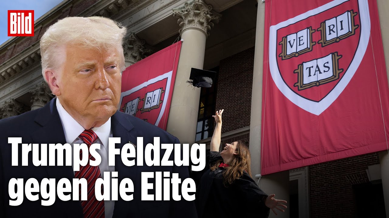 Washington-Insider James Kirchick: Warum US-Unis so links sind (und Trump recht hat)