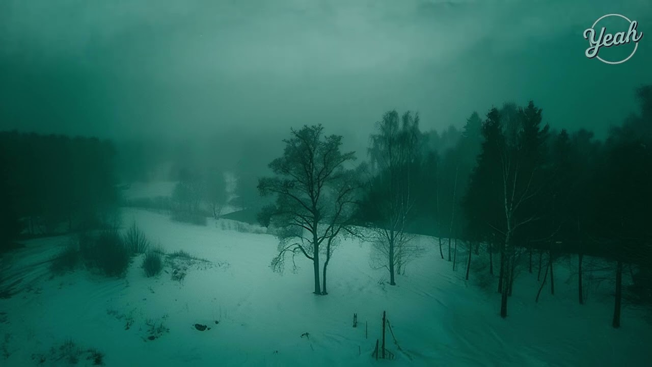 Relaxing, Chill, Dream Music #56🎵🎧