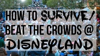 How To Beat the Crowds At Disneyland! | How To Survive Spring Break At Disneyland / Dis With Syd