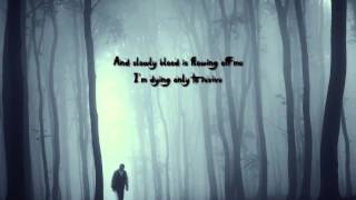 Disarmonia Mundi - Perdition Haze [Lyrics]