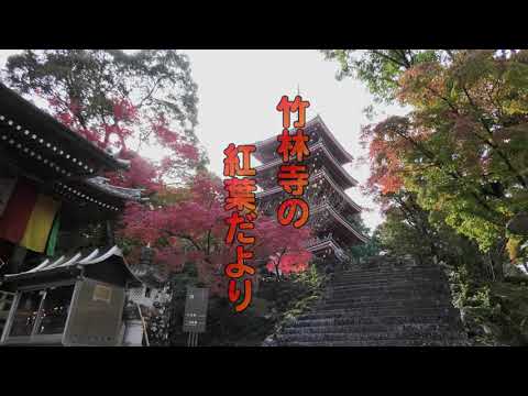 竹林寺の紅葉だより