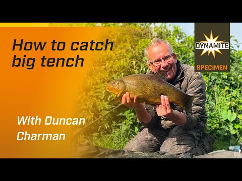 Tench Fishing: Catch More Big Tench with Duncan Charman