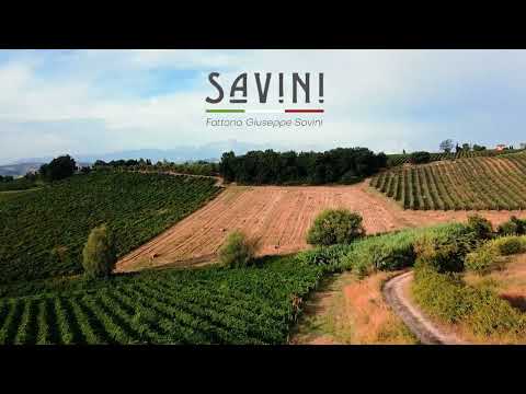 Fattoria Giuseppe Savini Drone