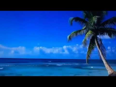 Thể hiện bởi Tuấn Vũ
