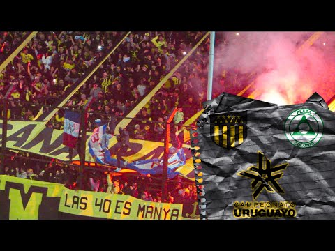 "LOCURA TOTAL DE LA HINCHADA" Barra: Barra Amsterdam • Club: Peñarol