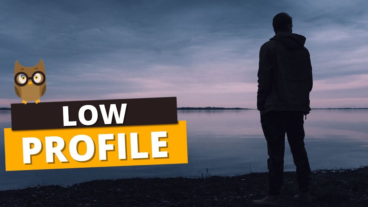 SIGNIFICADO DE LOW PROFILE