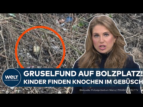 SCHOCK IN WORMS: Gruselfund auf Bolzplatz! – Kinder finden Knochen im Gebüsch!