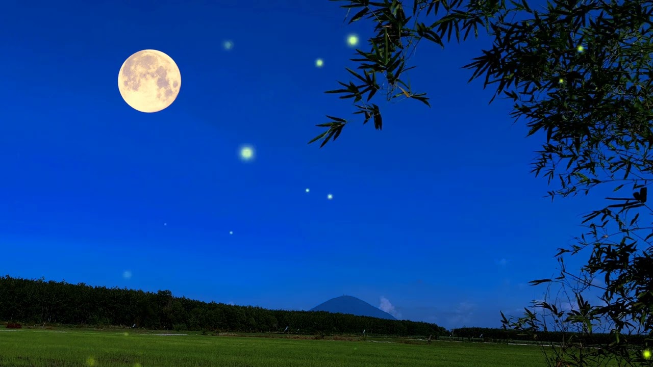 Summer night sounds of gentle crickets in the fields