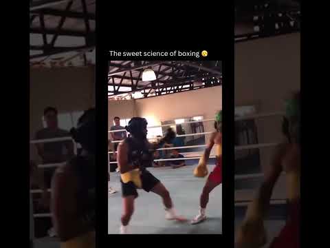 NOW THIS IS BOXING 💀🤯 #boxing #boxingmedia #fyp