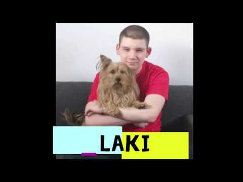 W wolnym czasie Ib LO