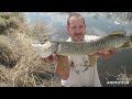Video Thumbnail for Open At Assiniboine River