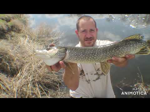 Open At Assiniboine River