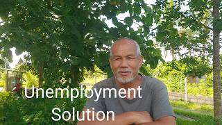 ๊Unemployment Solution