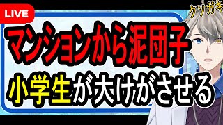 【マンションから泥団子】殺意を持って小学生が泥団子を落とす…まさかの責任能力なしの展開に【かなえ先生の雑談】