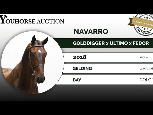 Navarro showvideo