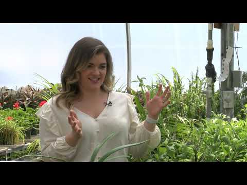 Yankee Chronicle with Greg Berger of Spring Ledge Farm (Part 1)