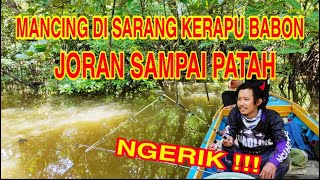 Download lagu MANCING MUARA TEPAT DI SARANG IKAN BABON , JORAN SAMPAI PATAH mp3