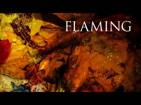 Dark tranquillity - With the flaming shades of fall