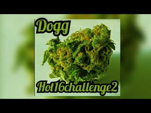 DOGG 420 #hot16challenge NOMINACJE; #emonik #posyp #fligru #fiflak #wavyzien