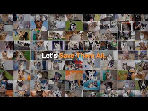 One decade, thousands of lives saved