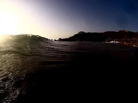 2JOHN’S, Nopopstar, Eugene Jay - Lion Heart