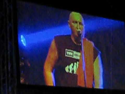 THE DRINKERS - i love alkohol 2017 (live)