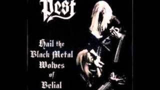 Pest (Fin)-Hail the black metal wolves of Belial-(2003 full album)