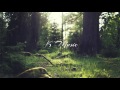 Ben Howard - Depth Over Distance (Acoustic)