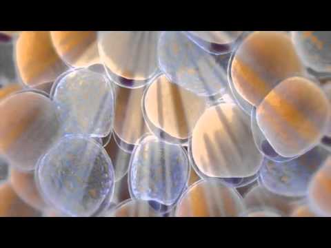 Coolsculpting™ - Cryolipolyse Cannes