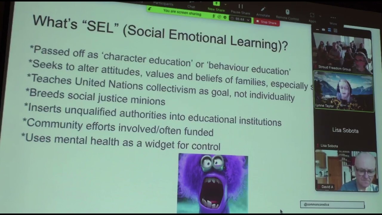 Schooling System - Mindspace Mind Grabs UK
