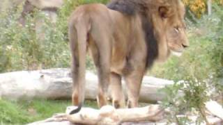 My life with You I will Share, take a look if you Dare.