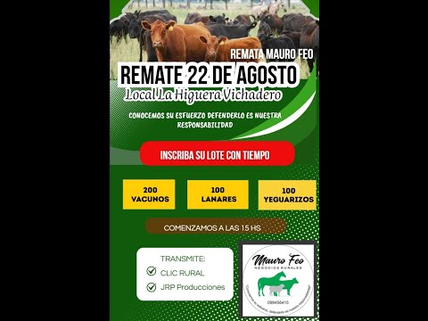 26/8/2025  Local La Higuera - Vichadero - Rivera - Feria mensual - Mauro Feo