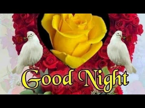  Good night flowers for whatsapp