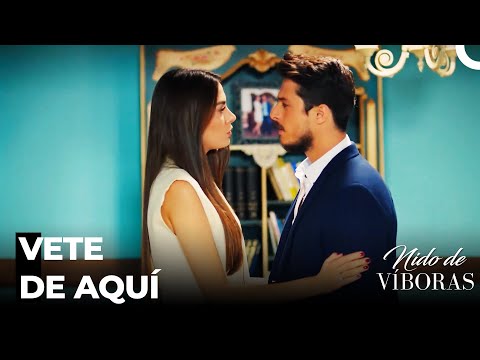 Tiempo De Remedio Para Elvan - Nido De Víboras