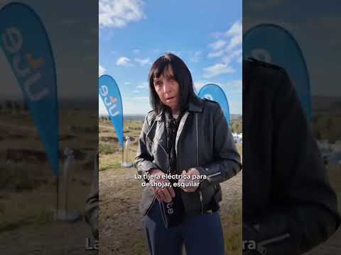La electricidad llegó a Molles de Aiguá, en Lavalleja.