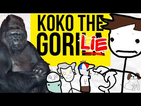 Koko, The Gorilla Who Could (NOT) Talk