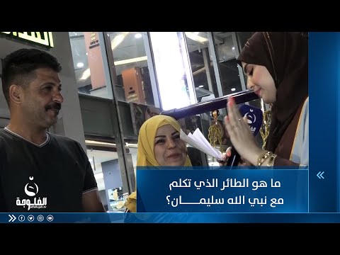 شاهد بالفيديو.. ما هو الطائر الذي تكلم مع نبي الله سليمان؟