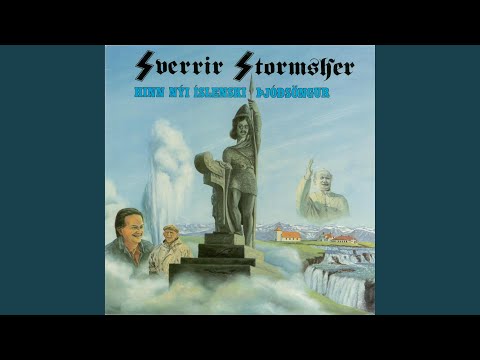 Í bestu súpum finnast flugur