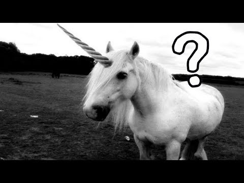¡Los unicornios son reales! by thebiologista: Desgraciadamente