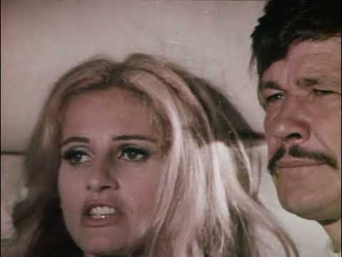 The Family AKA Violent City TV Spot #2 (1973)