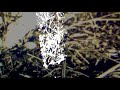 Capitol K — Landlocked