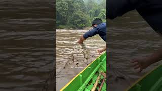 Huge Catch! Pulling Nets & Lines on a Jungle River 🎣