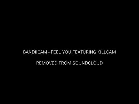 bandiicam + killcam - feel you (DELETED)