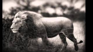 Charlie Haden & Pat Metheny -Spiritual