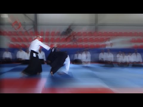 1st Hellenic AIKIDO Friendship Seminar summer 2022