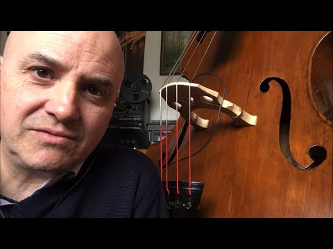 #48 CORSO DI CONTRABBASSO GLI ABBELLIMENTI