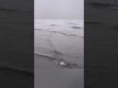 "Изгиб гитары..."(covёr.,драммиббас версия☺️).